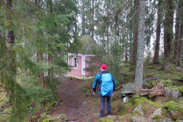 Bosque de Bohemia