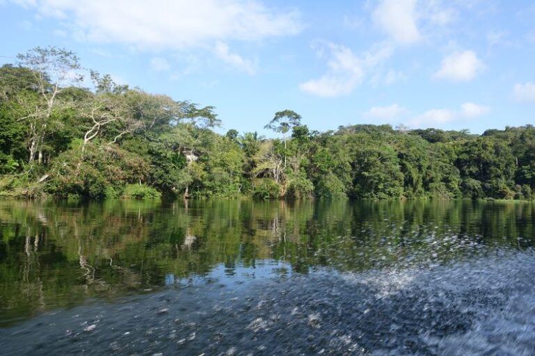 Paisajes verdes