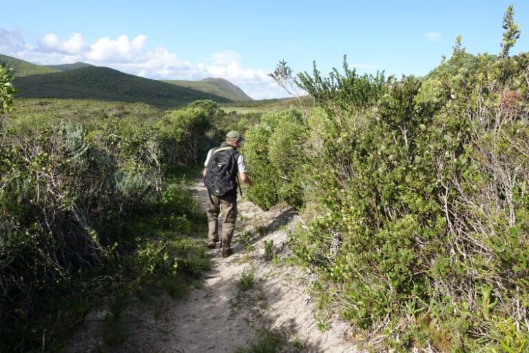 Sendero en Grootbos