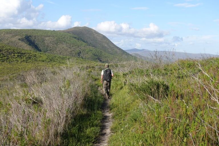 Sendero en Grootbos