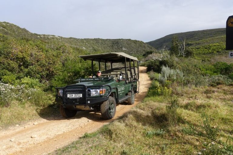 Excursión por Grootbos