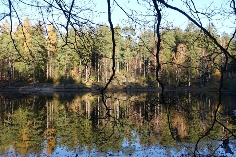 Wiesbüttsee