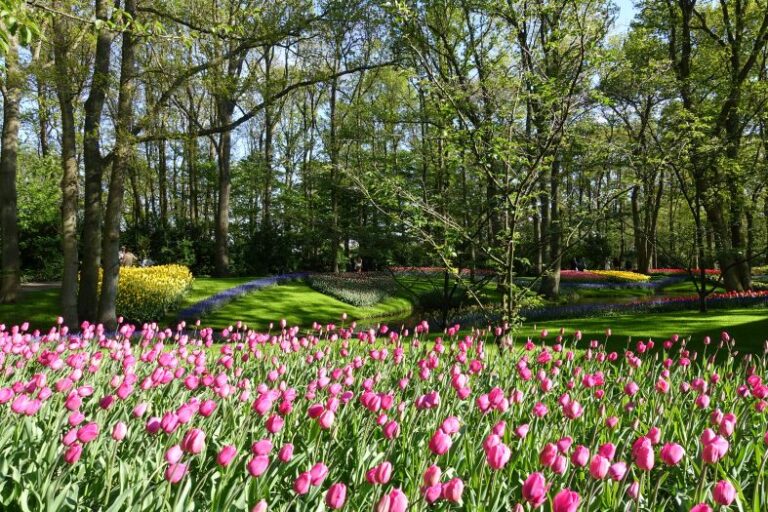 Keukenhof