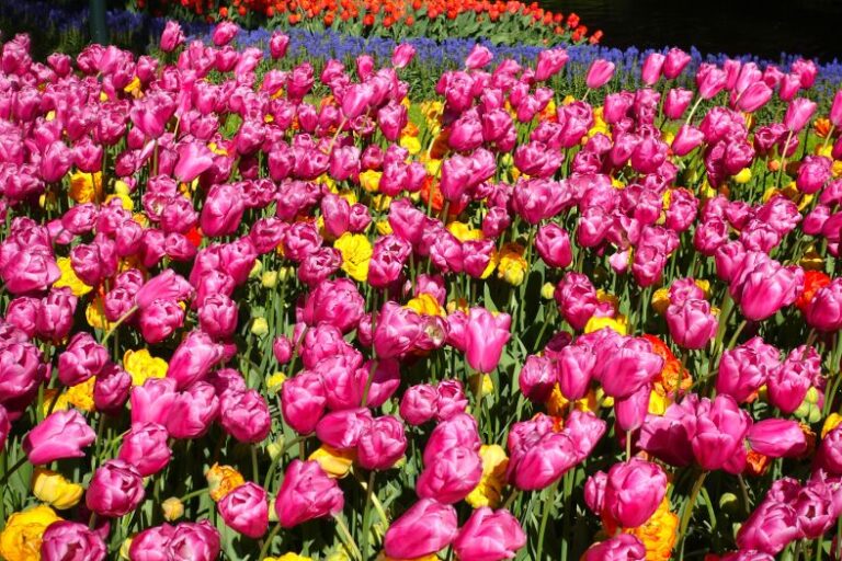 Colores irreales