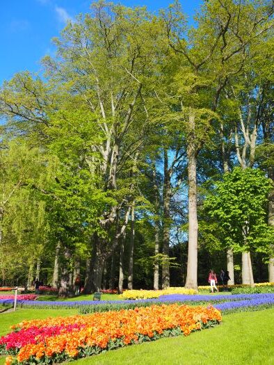Keukenhof