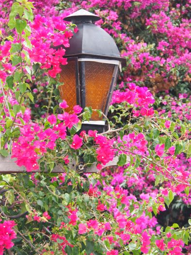 Colonia del Sacramento