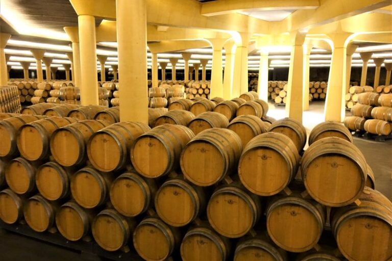 Vista de la bodega